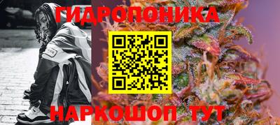 винт Партизанск